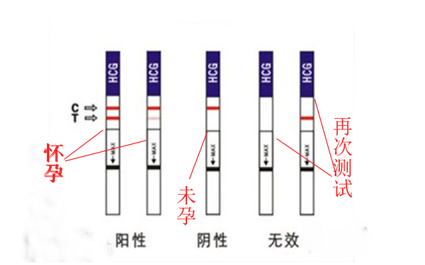 四个方法测怀孕