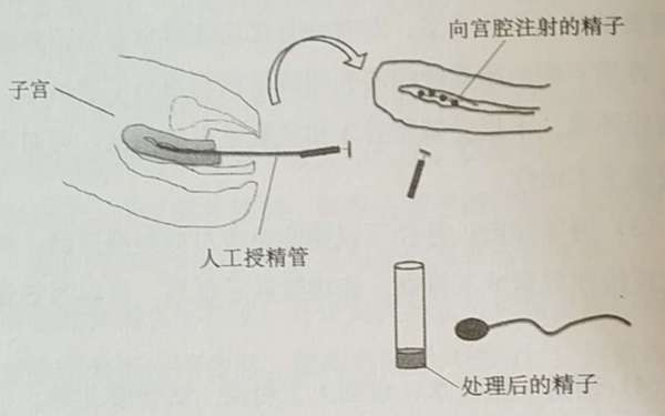 人授后成功的经验总结