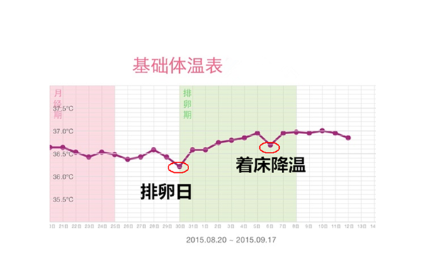 标准的着床降温体温图