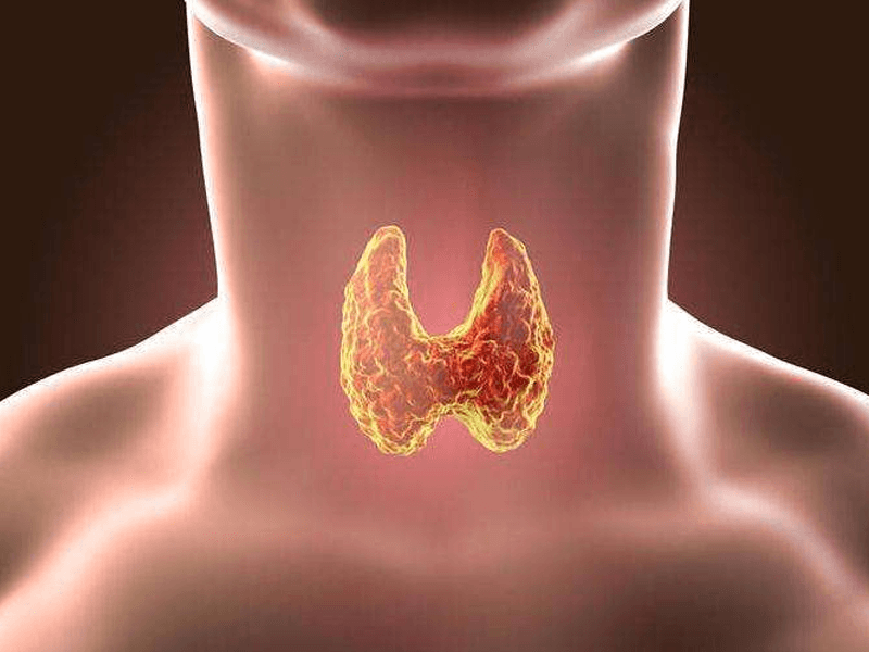 甲状腺功能低下