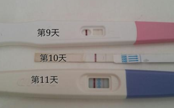 鲜胚移植8天成功的征兆